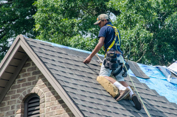 Best Roof Leak Repair  in Schriever, LA