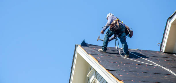 Roof Gutter Cleaning in Schriever, LA